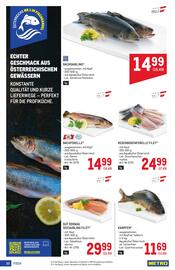 Metro Flugblatt Seite 30