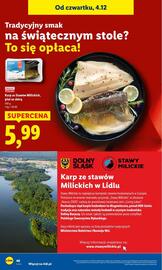 Lidl gazetka Strona 48