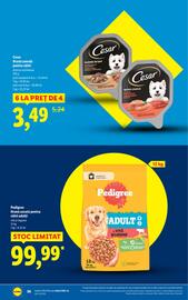 Catalog Lidl săptămâna 50 Pagină 36