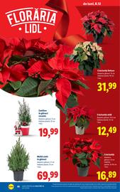 Catalog Lidl săptămâna 50 Pagină 56