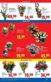 Catalog Lidl săptămâna 50 Pagină 57