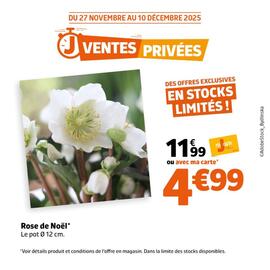 Catalogue Jardiland page 5