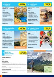 Hofer Reisen Flugblatt Seite 6