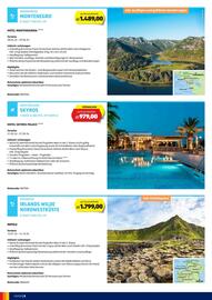 Hofer Reisen Flugblatt Seite 8