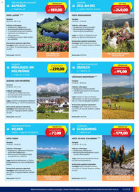 Hofer Flugblatt Seite 3