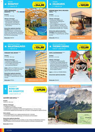 Hofer Flugblatt Seite 6