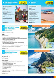 Hofer Flugblatt Seite 7