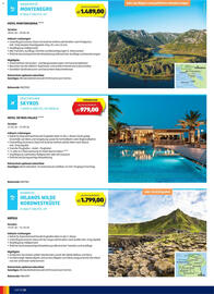 Hofer Flugblatt Seite 8