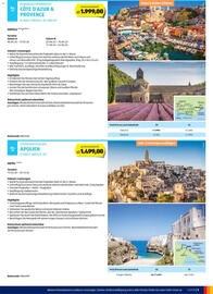 Hofer Flugblatt Seite 9