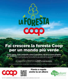 Volantino Ipercoop Pagina 39