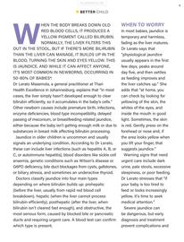 Dis-Chem catalogue Page 25