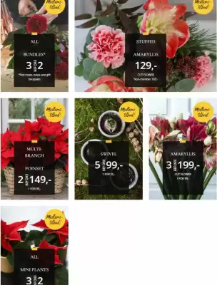 Floriss kundeavis (gyldig til 7-12)