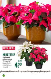 GroenRijk folder week 49 Pagina 17