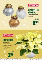 GroenRijk folder week 49 Pagina 4