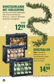 GroenRijk folder week 49 Pagina 9