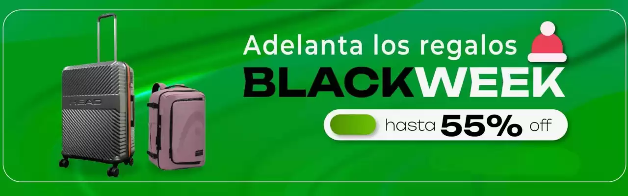 Catálogo Head (válido hasta 6-12)