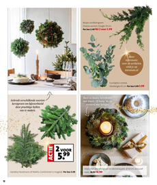 Intratuin folder week 49 Pagina 12