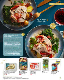 PLUS folder Pagina 13