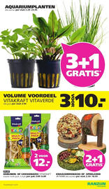 Ranzijn folder week 49 Pagina 20