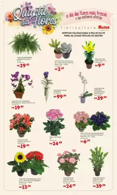 Encarte Bistek Supermercados (válido até 3-12)