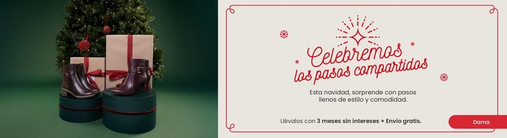 Catálogo Flexi Página 1