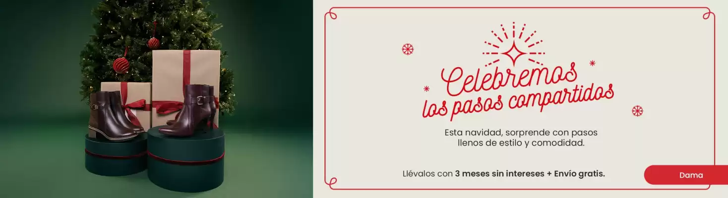 Catálogo Flexi (válido hasta 31-12)