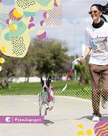 Catálogo Puppis semana 49 Página 1