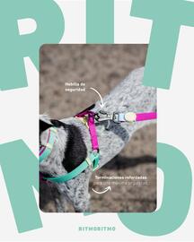 Catálogo Puppis semana 49 Página 2