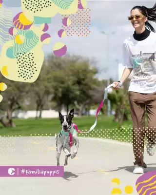 Catálogo Puppis (válido hasta 9-12)