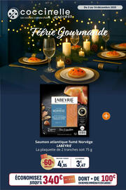 Catalogue Coccinelle Express page 1