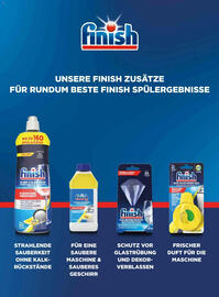 Dm Flugblatt Seite 100