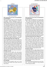 Dm Flugblatt Seite 101