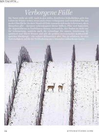 Dm Flugblatt Seite 14