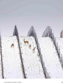 Dm Flugblatt Seite 15