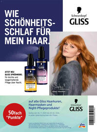 Dm Flugblatt Seite 37