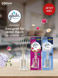 Dm Flugblatt Seite 63