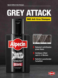 Dm Flugblatt Seite 66