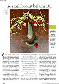 Dm Flugblatt Seite 86