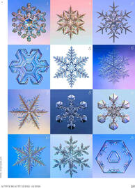 Dm Flugblatt Seite 91