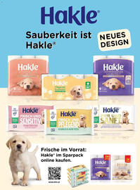 Dm Flugblatt Seite 98