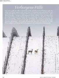 Dm Flugblatt Seite 14