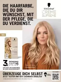 Dm Flugblatt Seite 28