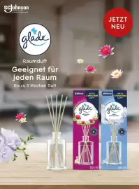 Dm Flugblatt Seite 63