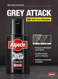 Dm Flugblatt Seite 66