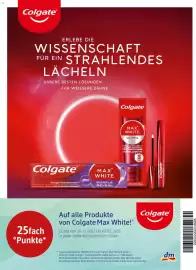 Dm Flugblatt Seite 77