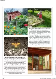 Dm Flugblatt Seite 88