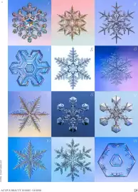 Dm Flugblatt Seite 91