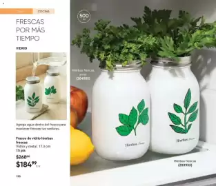 Catálogo Avon Página 132