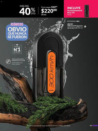 Catálogo Avon Página 107