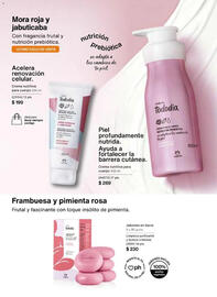 Catálogo Natura Página 103